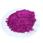 Kuivatatud draakoni puuviljapulber