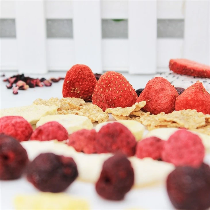 Freeze Dried Fruit Chips