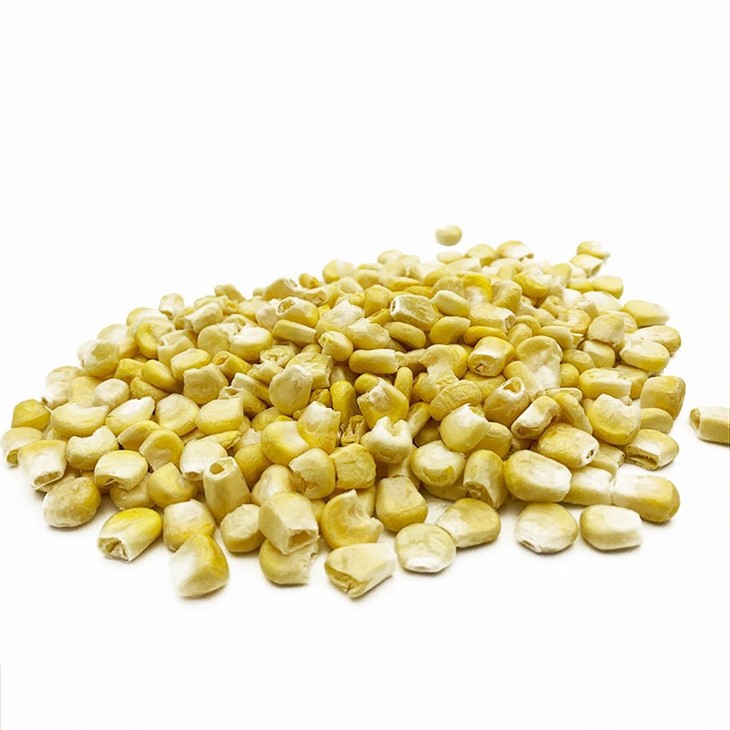 Freeze Dried Sweet Corn
