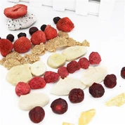 FD puuviljasuupisted